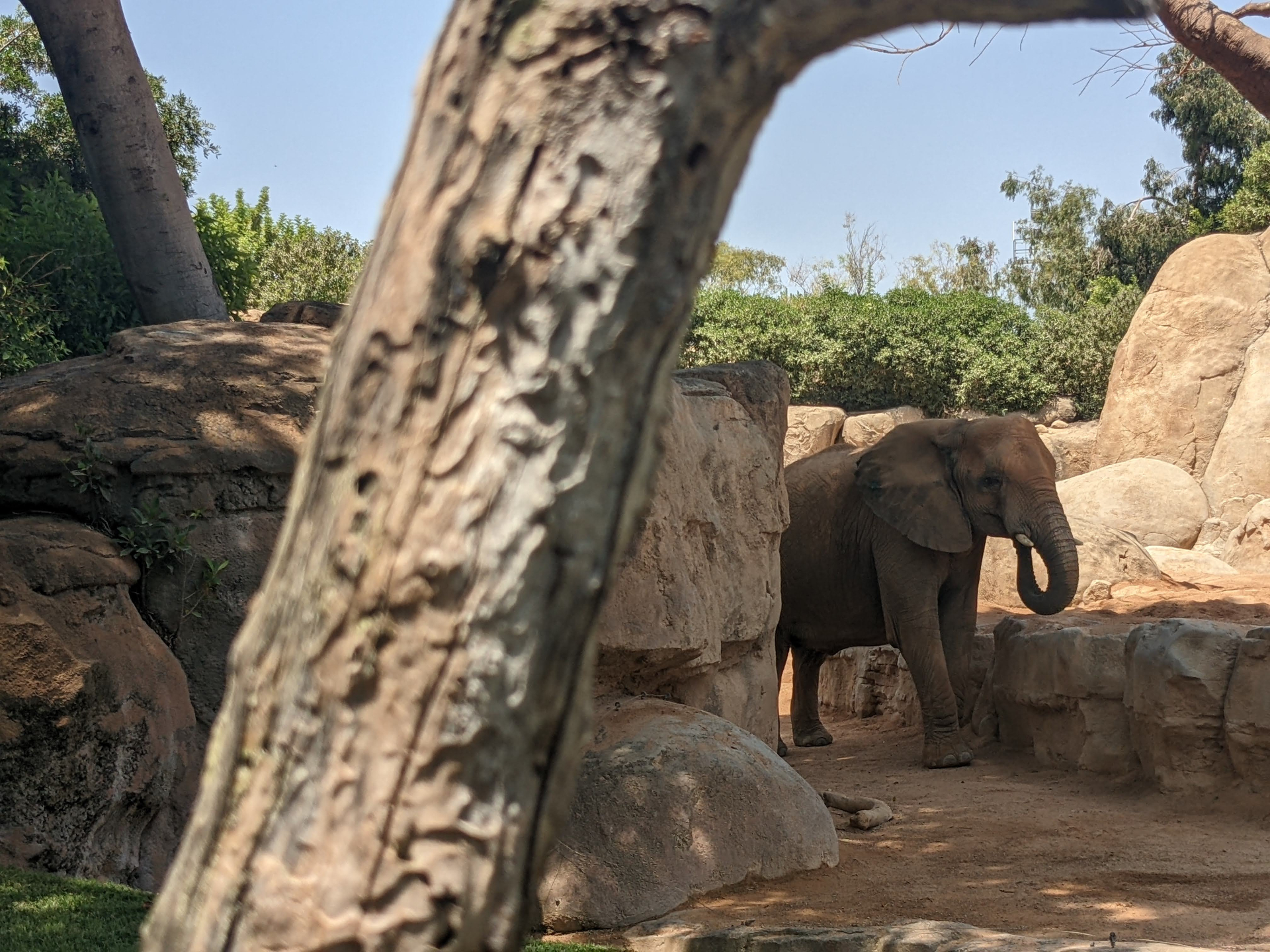 Daguitstap Bioparc