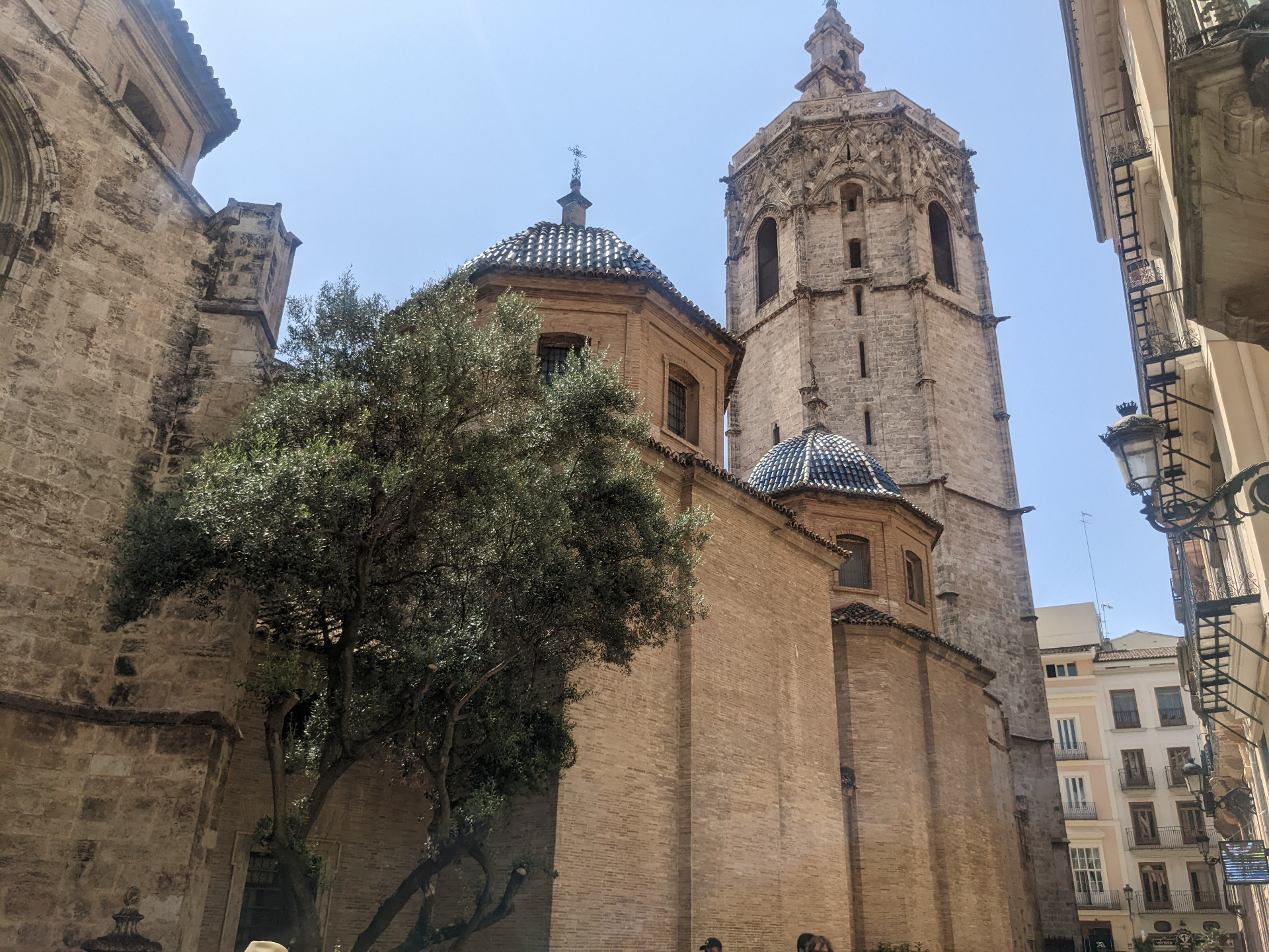 De Micalet-klokkentoren naast de kathedraal van Valencia, met een olijfboom op de voorgrond